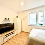 Mlynapart Liberec